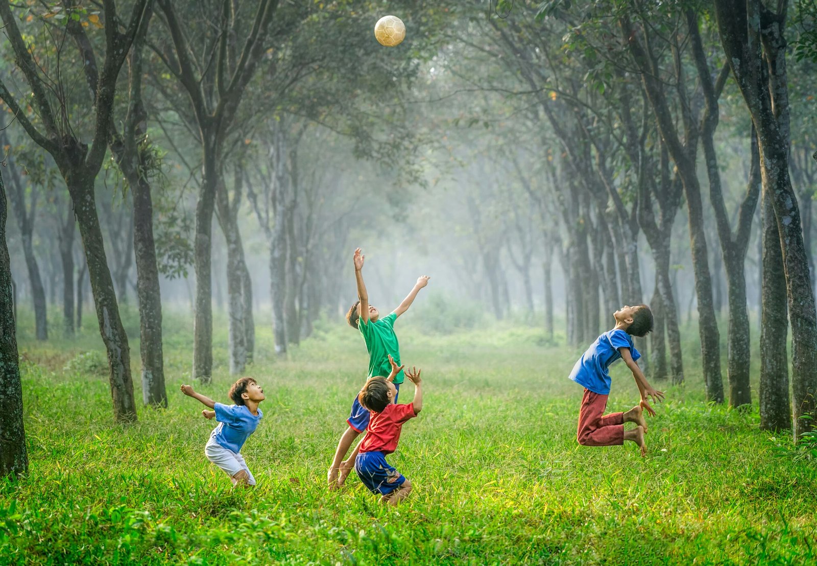 5 Essential Strategies to Make Nature Play Inclusive for All Children