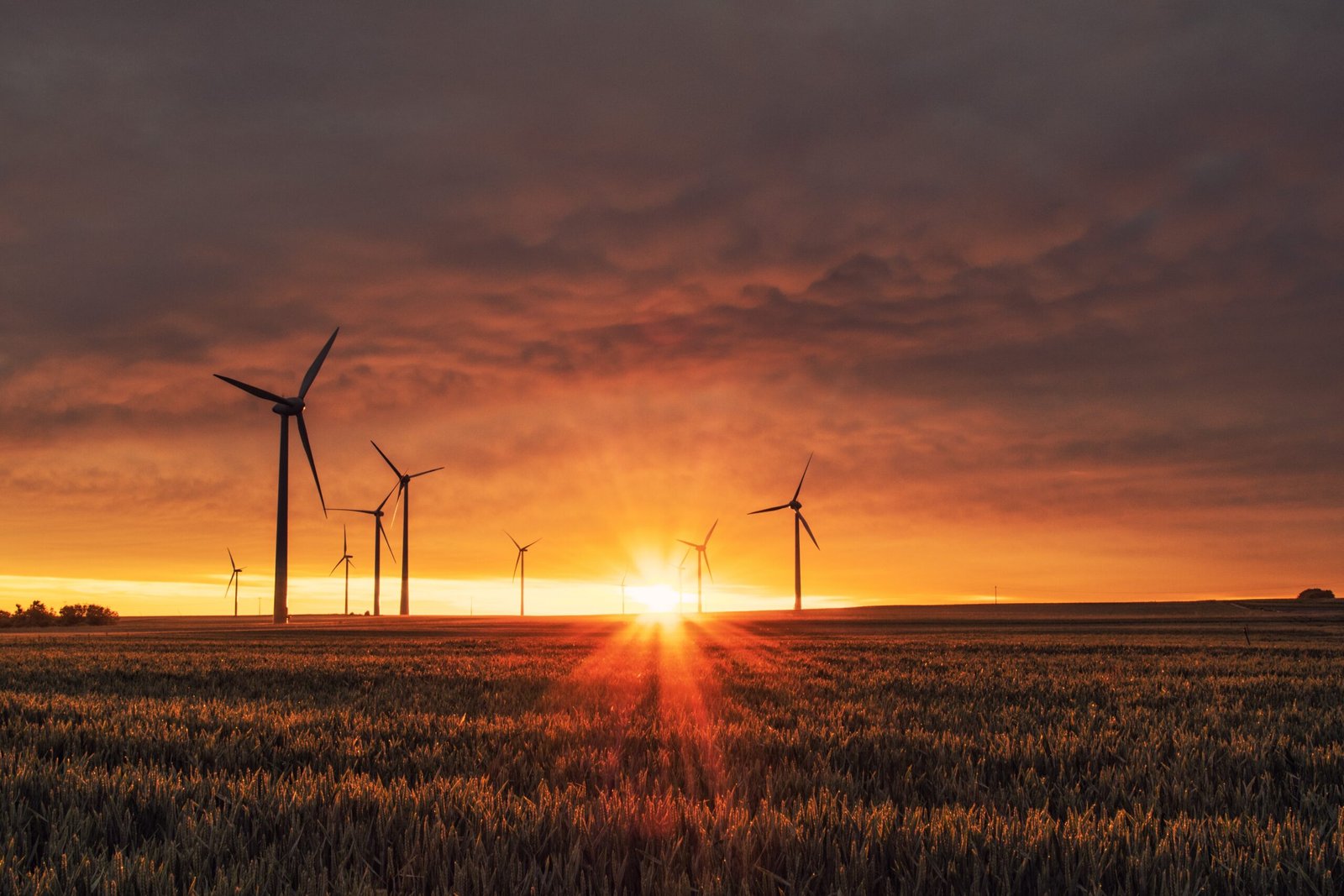 10 Eco-Friendly Outdoor Adventures: Minimize Your Carbon Impact & Maximize Fun!
